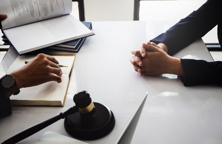 lawyer is consulting client